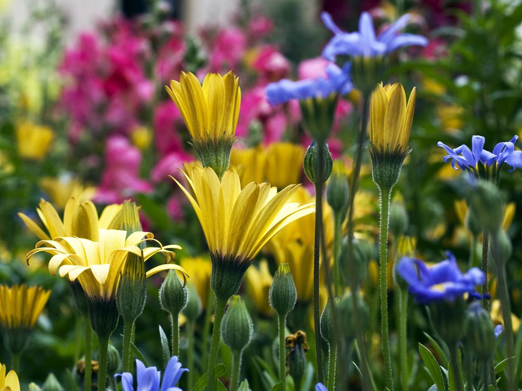 Captured using Canon EOS DIGITAL REBEL XS